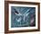 Gannet, c.1985-Isabel Alexander-Framed Giclee Print