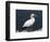 Gannet Perched on Rock, Bass Rock, East Lothian, Scotland, United Kingdom-Roy Rainford-Framed Photographic Print