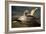 Gannets from "Birds of America"-John James Audubon-Framed Giclee Print