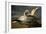 Gannets from "Birds of America"-John James Audubon-Framed Giclee Print