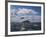 Gannets in Flight, Following Fishing Boat Off Bass Rock, Firth of Forth, Scotland-Toon Ann & Steve-Framed Photographic Print