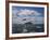 Gannets in Flight, Following Fishing Boat Off Bass Rock, Firth of Forth, Scotland-Toon Ann & Steve-Framed Photographic Print