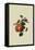 Gansel's Bergamot Pear-William Hooker-Framed Stretched Canvas