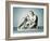 Ganymede with Eagle of Zeus-Bertel Thorvaldsen-Framed Giclee Print