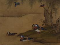 Mynah Birds Gathering in a Tree by a Stream. from an Album of Bird Paintings-Gao Qipei-Giclee Print
