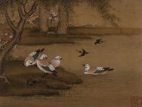 Mynah Birds Gathering in a Tree by a Stream. from an Album of Bird Paintings-Gao Qipei-Framed Giclee Print