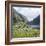 Gap of Dunloe, County Kerry, Munster, Republic of Ireland, Europe-Andrew Mcconnell-Framed Photographic Print