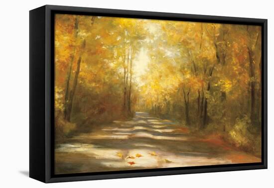 Gap Road Crop-Julia Purinton-Framed Stretched Canvas