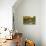 Gapstow Bridge Serenity-Jessica Jenney-Giclee Print displayed on a wall