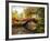 Gapstow Bridge-Jessica Jenney-Framed Giclee Print