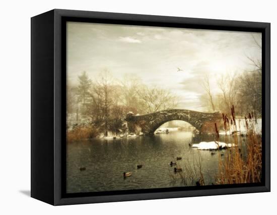 Gapstow Winter-Jessica Jenney-Framed Premier Image Canvas