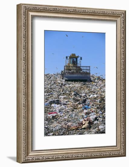 Garbage Dump-DLILLC-Framed Photographic Print