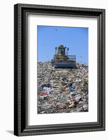 Garbage Dump-DLILLC-Framed Photographic Print