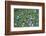 Garbage in River-Hans Peter Merten-Framed Photographic Print