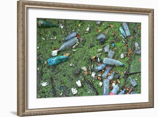 Garbage in River-Hans Peter Merten-Framed Photographic Print