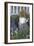 Garden 264-Jeff Rasche-Framed Photographic Print