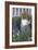 Garden 264-Jeff Rasche-Framed Photographic Print