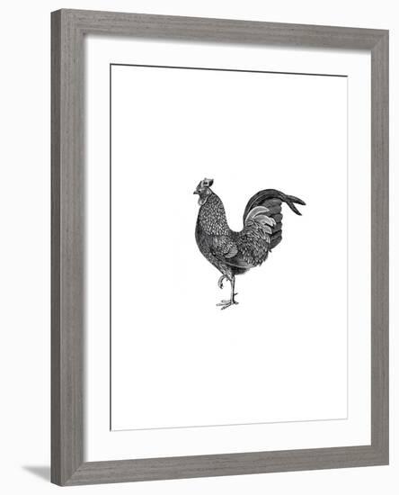 Garden Accents-The Chelsea Collection-Framed Giclee Print