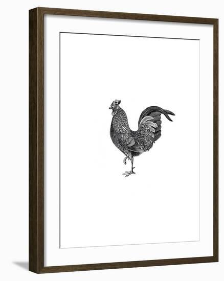 Garden Accents-The Chelsea Collection-Framed Giclee Print