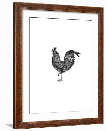 Garden Accents-The Chelsea Collection-Framed Giclee Print