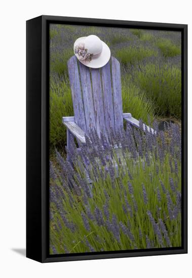 Garden, Adirondack Chair and Straw Hat, Lavender Festival, Sequim, Washington, USA-Merrill Images-Framed Premier Image Canvas