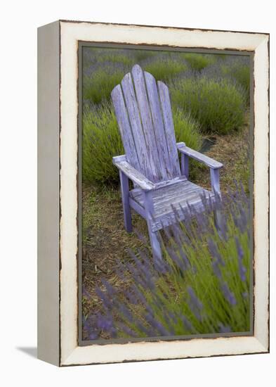 Garden, Adirondack Chair and Straw Hat, Lavender Festival, Sequim, Washington, USA-Merrill Images-Framed Premier Image Canvas