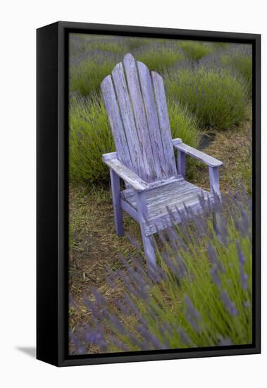 Garden, Adirondack Chair and Straw Hat, Lavender Festival, Sequim, Washington, USA-Merrill Images-Framed Premier Image Canvas