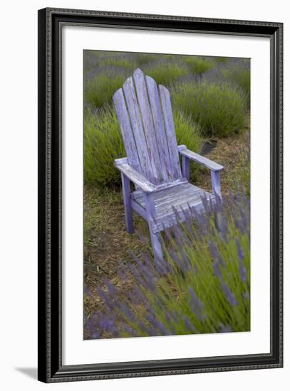 Garden, Adirondack Chair and Straw Hat, Lavender Festival, Sequim, Washington, USA-Merrill Images-Framed Photographic Print