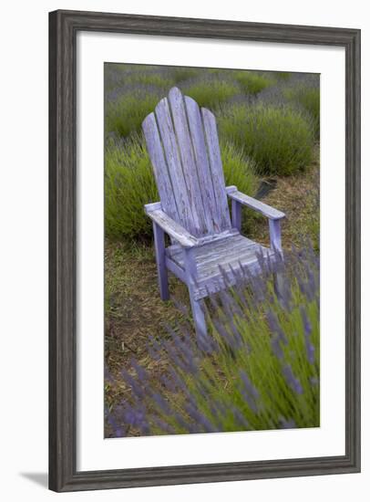 Garden, Adirondack Chair and Straw Hat, Lavender Festival, Sequim, Washington, USA-Merrill Images-Framed Photographic Print