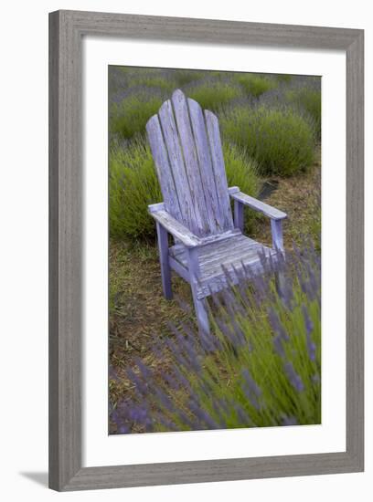 Garden, Adirondack Chair and Straw Hat, Lavender Festival, Sequim, Washington, USA-Merrill Images-Framed Photographic Print