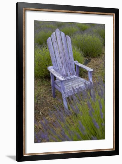 Garden, Adirondack Chair and Straw Hat, Lavender Festival, Sequim, Washington, USA-Merrill Images-Framed Photographic Print