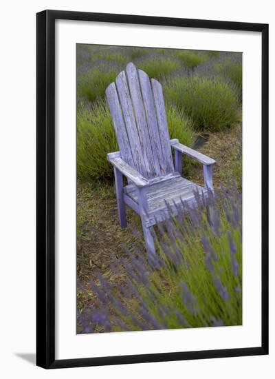 Garden, Adirondack Chair and Straw Hat, Lavender Festival, Sequim, Washington, USA-Merrill Images-Framed Photographic Print