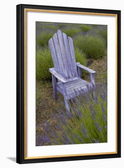 Garden, Adirondack Chair and Straw Hat, Lavender Festival, Sequim, Washington, USA-Merrill Images-Framed Photographic Print