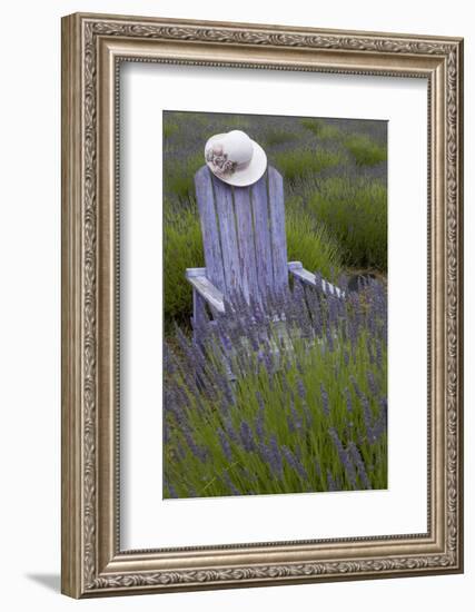 Garden, Adirondack Chair and Straw Hat, Lavender Festival, Sequim, Washington, USA-Merrill Images-Framed Photographic Print