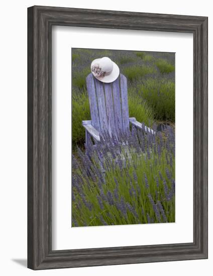 Garden, Adirondack Chair and Straw Hat, Lavender Festival, Sequim, Washington, USA-Merrill Images-Framed Photographic Print