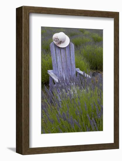 Garden, Adirondack Chair and Straw Hat, Lavender Festival, Sequim, Washington, USA-Merrill Images-Framed Photographic Print