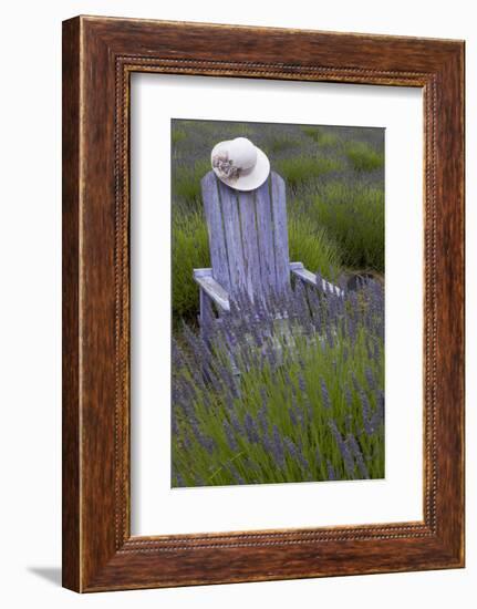 Garden, Adirondack Chair and Straw Hat, Lavender Festival, Sequim, Washington, USA-Merrill Images-Framed Photographic Print