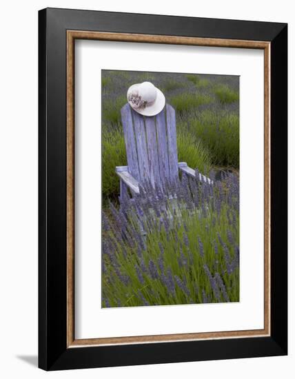 Garden, Adirondack Chair and Straw Hat, Lavender Festival, Sequim, Washington, USA-Merrill Images-Framed Photographic Print