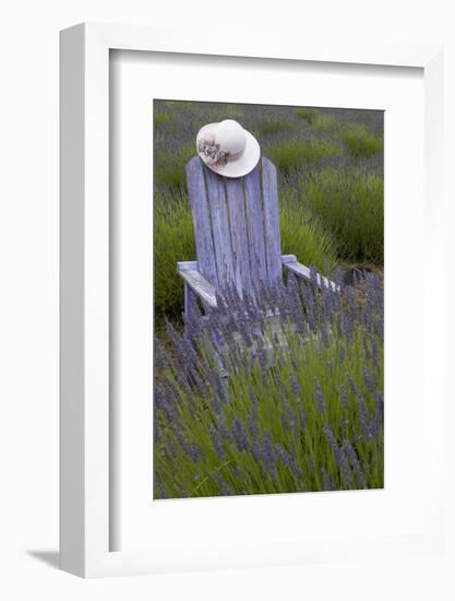 Garden, Adirondack Chair and Straw Hat, Lavender Festival, Sequim, Washington, USA-Merrill Images-Framed Photographic Print