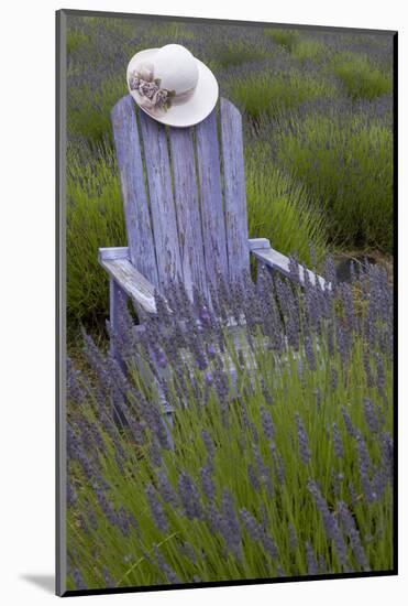 Garden, Adirondack Chair and Straw Hat, Lavender Festival, Sequim, Washington, USA-Merrill Images-Mounted Photographic Print