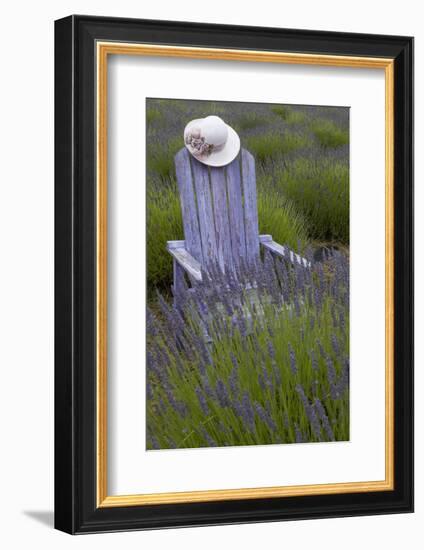 Garden, Adirondack Chair and Straw Hat, Lavender Festival, Sequim, Washington, USA-Merrill Images-Framed Photographic Print