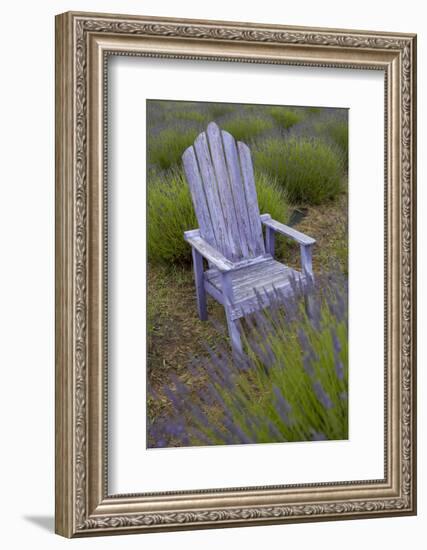 Garden, Adirondack Chair and Straw Hat, Lavender Festival, Sequim, Washington, USA-Merrill Images-Framed Photographic Print