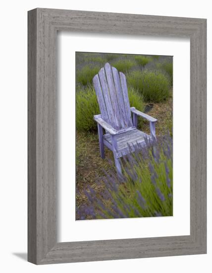 Garden, Adirondack Chair and Straw Hat, Lavender Festival, Sequim, Washington, USA-Merrill Images-Framed Photographic Print