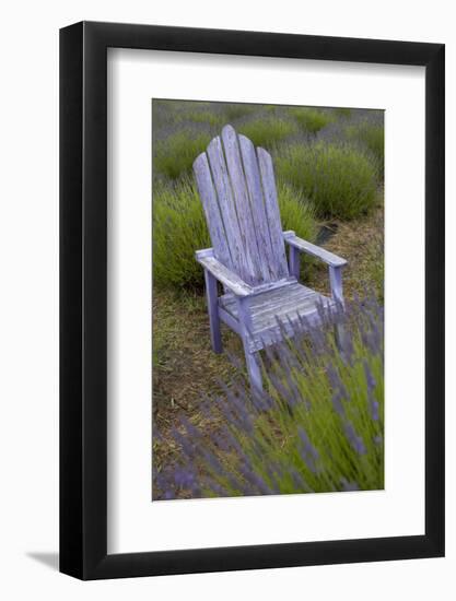 Garden, Adirondack Chair and Straw Hat, Lavender Festival, Sequim, Washington, USA-Merrill Images-Framed Photographic Print