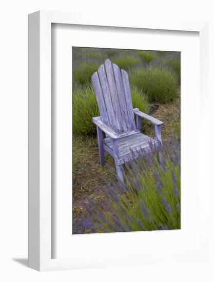 Garden, Adirondack Chair and Straw Hat, Lavender Festival, Sequim, Washington, USA-Merrill Images-Framed Photographic Print