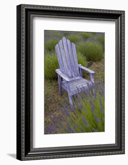 Garden, Adirondack Chair and Straw Hat, Lavender Festival, Sequim, Washington, USA-Merrill Images-Framed Photographic Print