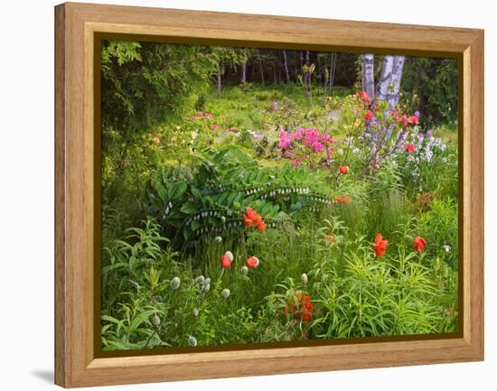 Garden and Forest in New Brunswick, Canada-Ellen Anon-Framed Premier Image Canvas