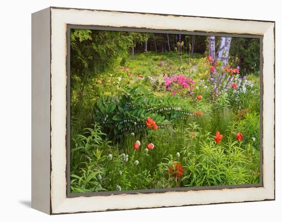 Garden and Forest in New Brunswick, Canada-Ellen Anon-Framed Premier Image Canvas