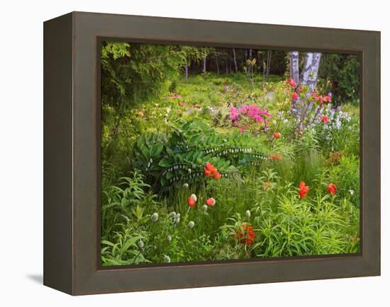 Garden and Forest in New Brunswick, Canada-Ellen Anon-Framed Premier Image Canvas