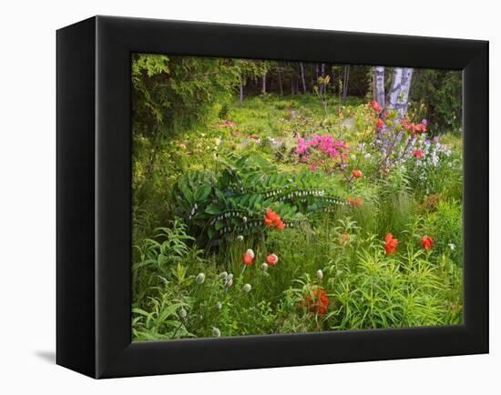 Garden and Forest in New Brunswick, Canada-Ellen Anon-Framed Premier Image Canvas